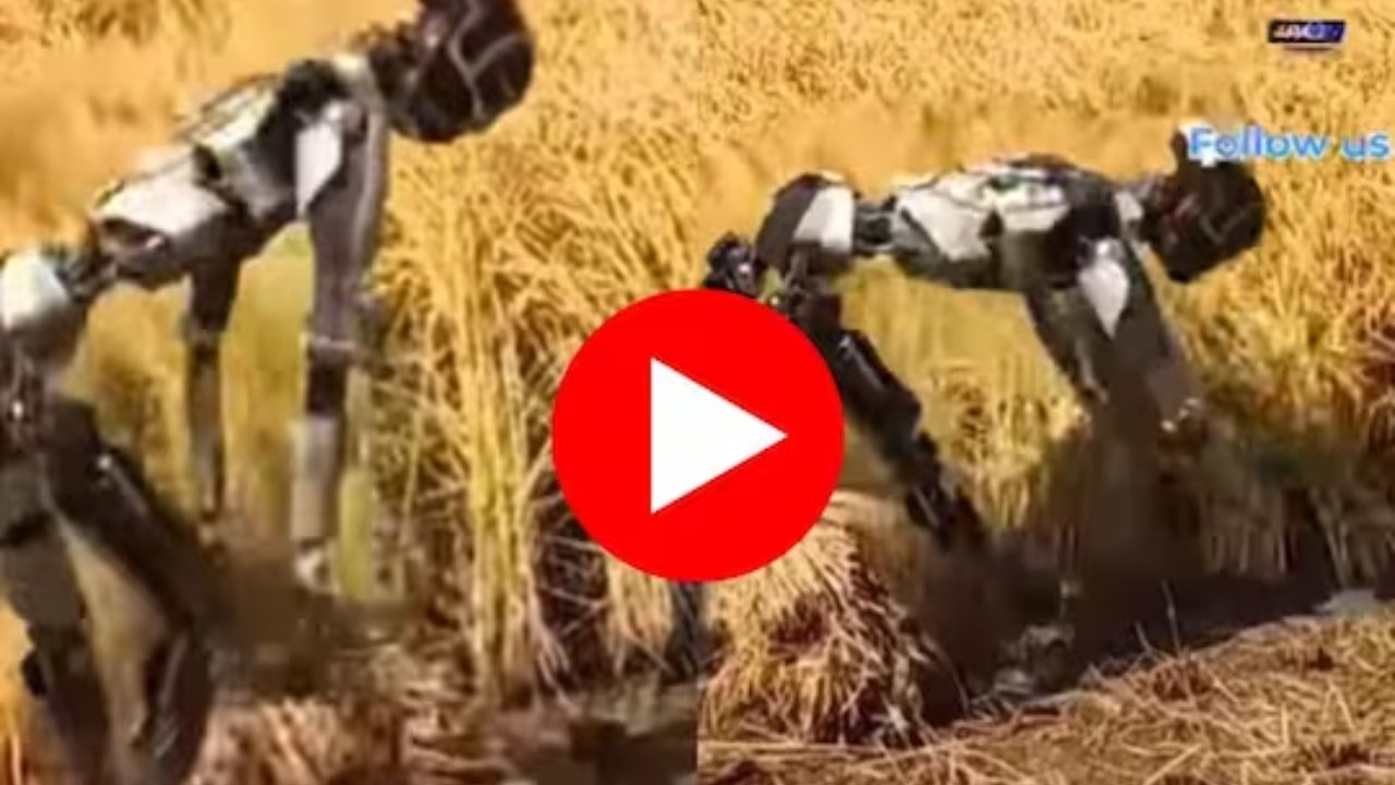Robot Farming Viral Video